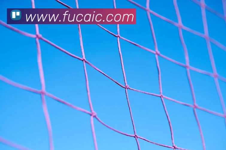 开云网页版·官方版在线 - 开云(中国)APP 封面图